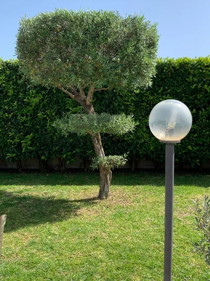 B&B Vittoria House Carlentini Bed & Breakfast
